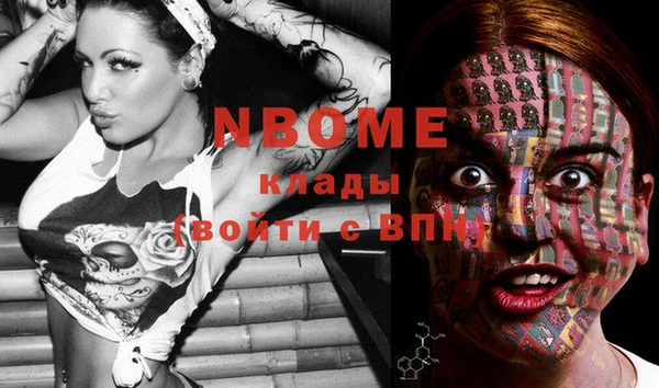 дмт Верея