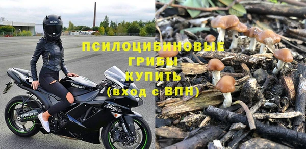 дмт Верея