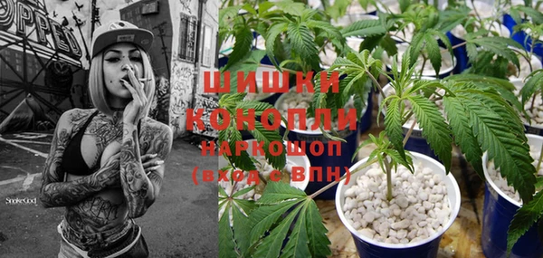spice Рославль