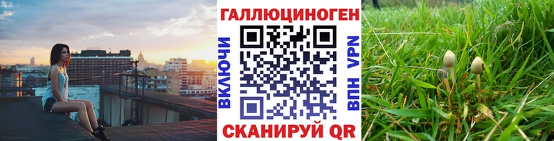 Псилоцибиновые грибы ЛСД  Вятские Поляны 